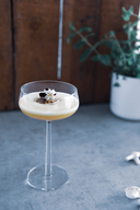 Tropical Gimber Sour